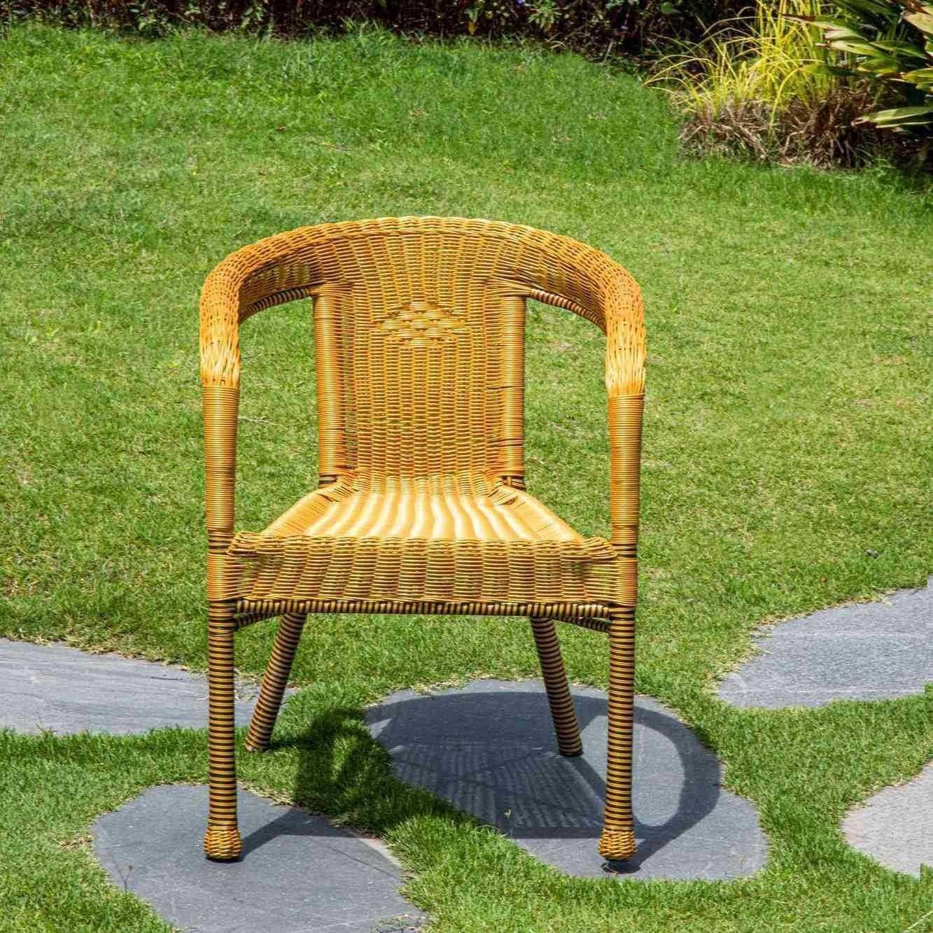 藤家阳台休闲藤编老人藤靠椅GPX子背单人椅藤圈椅单个腾椅用三件