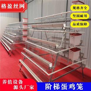 三层四层蛋鸡笼镀锌鸡笼全自动鸡笼生产厂家