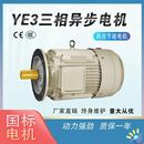 电机 供应YE3纯铜0.55 1.1 4W三相异步交流电动机380V立式