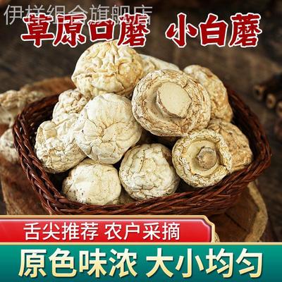 口蘑干货白蘑菇张家口特产口蘑新鲜口蘑菇草原白蘑口菇双孢菇200g