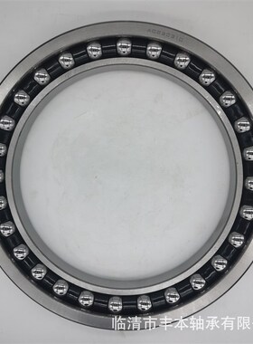 厂家供应 挖掘机行走轴承SF4852VPX1 工程机械轴承