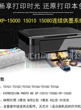 T01U连续供墨系统 适用爱普XP15000 XP-15010 XP15080连供墨盒