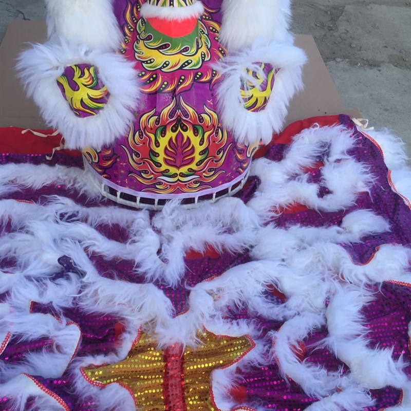 舞狮道具 龙灯 醒狮 舞狮道具 表演用品舞狮头欢迎订购