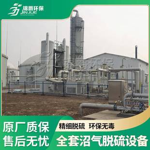 沼气脱硫系统可定制沼气干法脱硫设备厂家沼气净化设备
