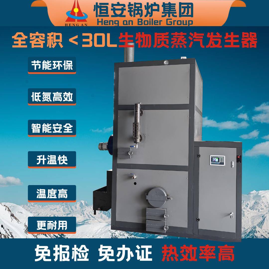 0.2吨0.吨0.5吨0.7吨1.0吨生物质蒸汽发生器免办证蒸汽发生器