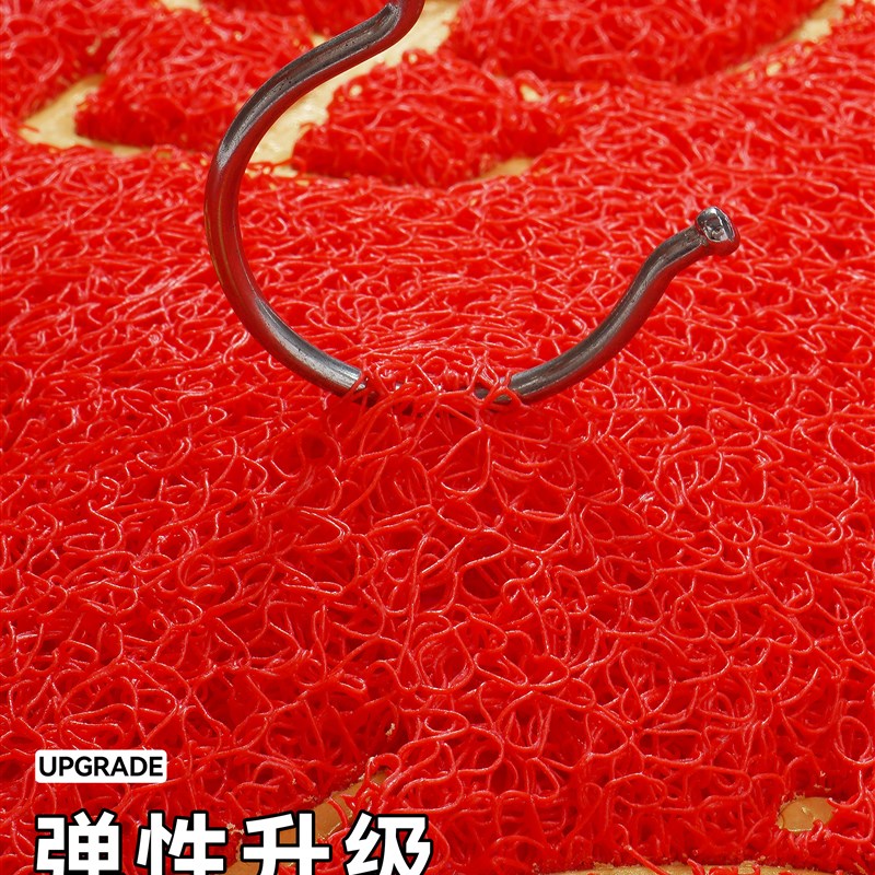 入户门地垫进门家用大门口脚垫进户门垫出入平安地毯PVC丝圈垫子