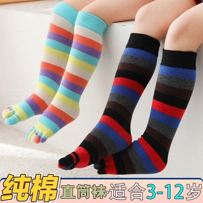 四季纯棉长筒彩虹儿童五指袜男童女童中筒分趾袜小童高筒袜3-12岁