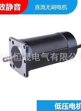 24V100W200W直流无刷BLDC卷帘门电机节能耐用型大功率智能