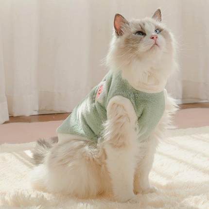 可爱秋冬季猫猫衣服狗狗冬保暖加厚背心防掉毛布偶宠物衣服小型犬