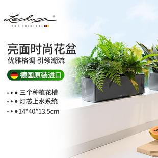挂钩磁吸桌面方形 Lechuza德国进口花盆绿植花卉自吸水灌溉挂墙式