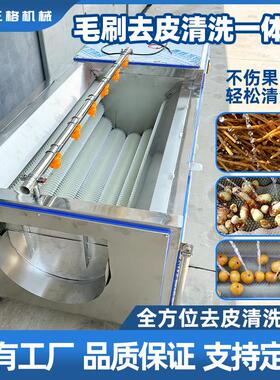 土豆白萝卜红薯洋芋山药去皮机器生蚝猪头马蹄花生大姜毛辊清洗机