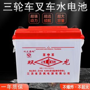 双龙水电池铅酸电池电三轮车四轮车工程车叉车12v水电瓶228型70斤