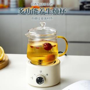 玻璃竖纹养生壶杯耐热防爆高硼硅玻璃水杯家用茶杯高颜ins风