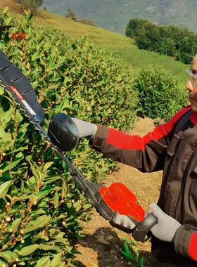 凯姿KZ750充电式重修机 电动修剪机 茶树修枝机剪茶机 单刃绿篱机