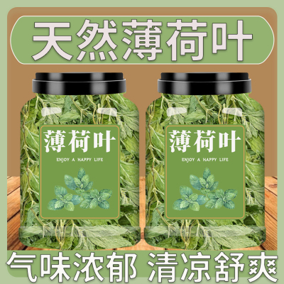 薄荷茶叶干薄荷叶新鲜可食用冷泡茶水喝的东西清凉茶提神夏季解暑