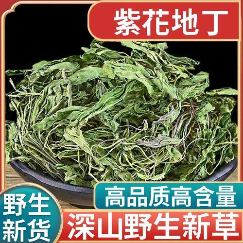 正品野生紫花地丁新货中药材500g正宗犁头草地丁草地丁苦地丁泡水