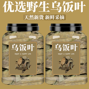 乌饭叶中药材南烛叶500g包邮正品南竹叶墨饭叶乌饭树叶南烛叶茶