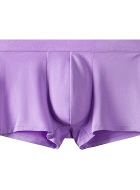 男士紫色内裤纯棉男中腰平角裤透气舒适加大码宽松四角短裤衩