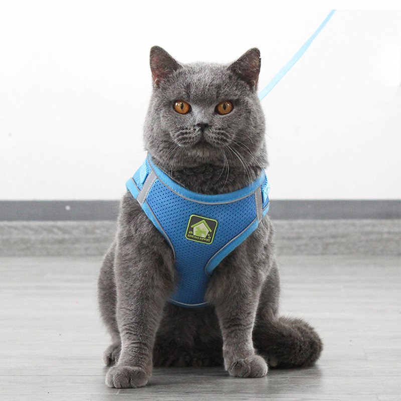 猫咪牵引绳背心式防挣脱专用溜猫绳子栓猫绳猫链子外出遛猫绳防逃