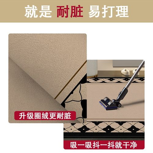 入户门地垫欧式复古高级感极简免洗进门口家用地毯门厅防滑脚垫子