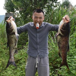 鲢鳙饵料小药大头鱼花鲢鱼专用添加剂白鲢腥臭黑坑草莓味野钓神器