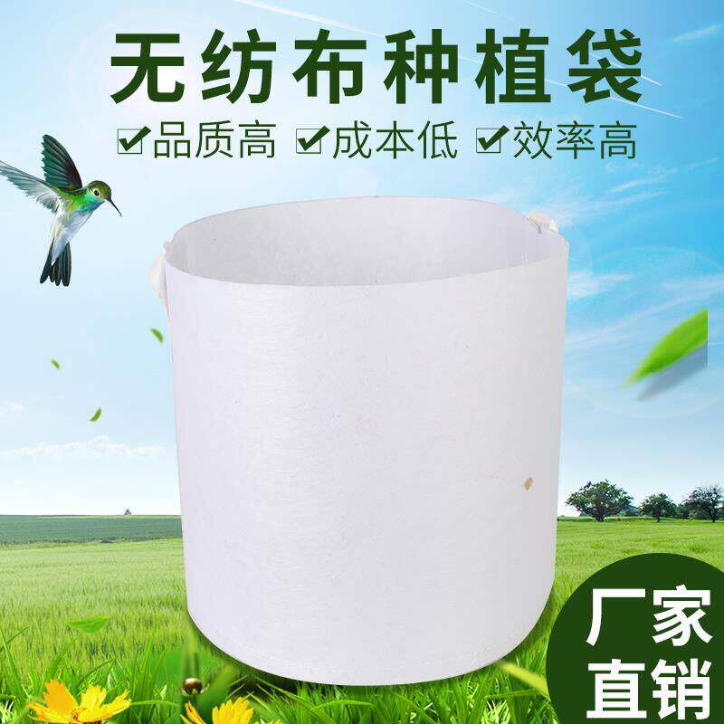 植树袋种加厚无纺布美控