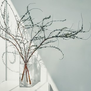 雪柳枝花瓶玻璃透明养q雪柳鲜枝干支高款插花长枝雪柳瓶干枝花器