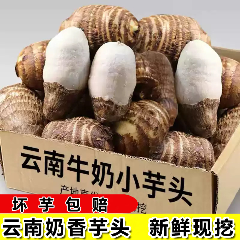 正宗云南牛奶小芋头小香芋新鲜毛芋头现挖农家自种艿芋软糯