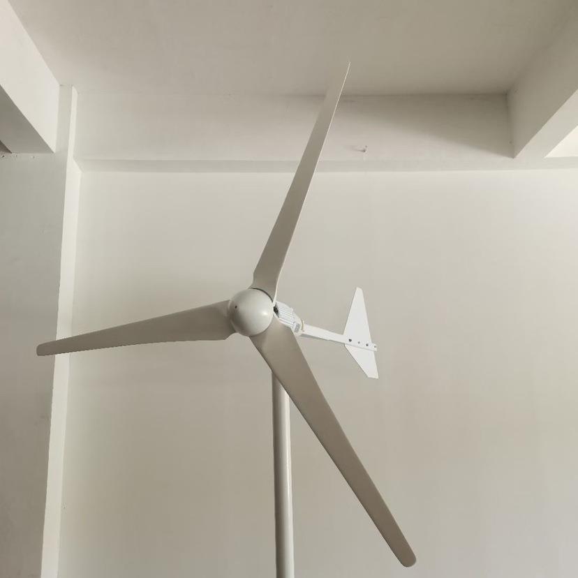 WPP功率小型风力发电机家用风0光互补路灯户足外用船100W12V24V22