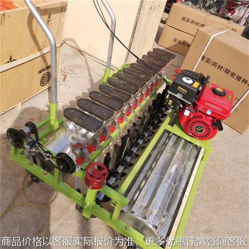 汽油蔬菜播种机 手推式白菜芹菜油菜种子 紧密蔬菜种子种植机