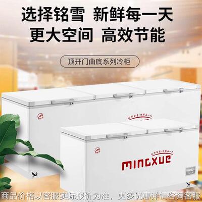 冰箱冰柜卧式冰柜保鲜柜 冷藏冷冻 商用大冷柜冰淇淋冷饮柜
