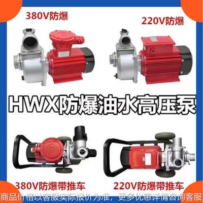 厂家供应DYB-80滑片防爆泵 体积小 易携带 内置过滤网 防爆油泵