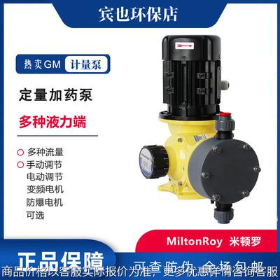 机械计量泵GM00隔膜加泵GM0400水处理泵加泵GM0500