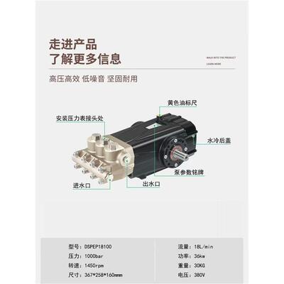 洛克里尼高压水泵1000公斤18升清洗机总成高压国产泵头22升