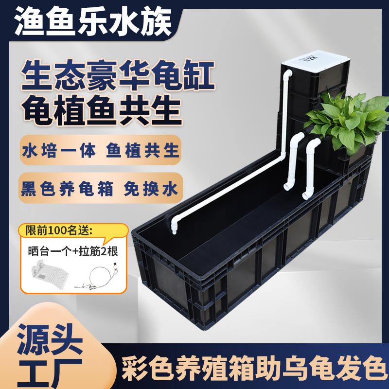 龟箱乌龟缸周转箱养鱼沼泽带过滤种植物生态缸鱼龟混养滴流饲养箱