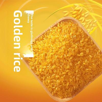 金稻新稻、正宗黑龙江东北特产糯玉米、非米粗粮、杂粮5.2公斤斤