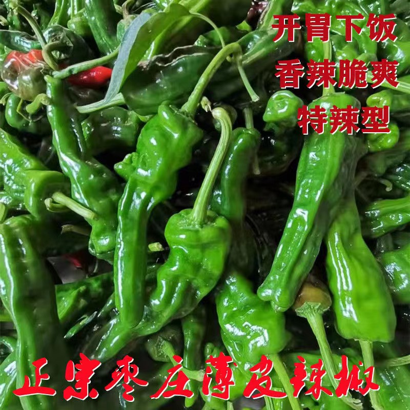 现摘现发 超辣特辣