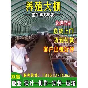 养殖大棚钢管骨架简易牛棚羊圈猪舍鸡鸭鹅大棚架蔬菜连体大棚全套