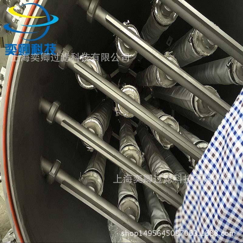 烛式过滤机手动滤饼层净水器可升级全自动梅花状滤芯过滤器