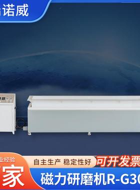 双组磁力研磨机R-G3010五金冲压件去毛刺大功率零件抛光清洗机