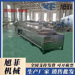 蜜黄桃漂烫预煮机桃子罐头漂烫杀菌设备