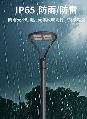 市电30W40W50W小区路灯花园景观灯室外广场社区简约高档庭院灯