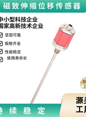 磁致伸缩位移传感器 RH磁致伸缩传感器 Temposonics传感器
