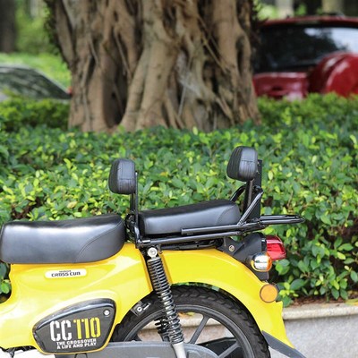 适用于幼兽110靠背CC110改装后货架靠背垫改装腰靠改装配件