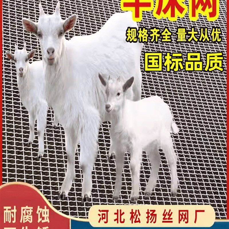 热浸镀锌钢丝羊床漏粪网鸡鸭鹅漏粪底网养羊钢丝网养W殖网围网铁