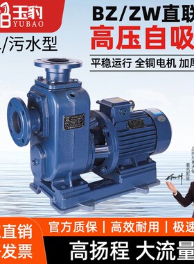 BZ自吸泵ZW污水泵p防堵塞管道离心泵抽水农用大高扬程380v三相
