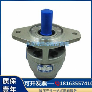 E40P 阜新液压厂 高压齿轮油泵 E25P E32P CBF E18P