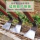 小锄头家用种菜除草锰钢锄草神器老式 挖地多功能农用农具工具大全
