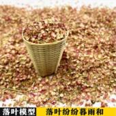 情景树叶模型枯叶真实植物造景落叶微景观手工 DIY材料沙盘地形粉