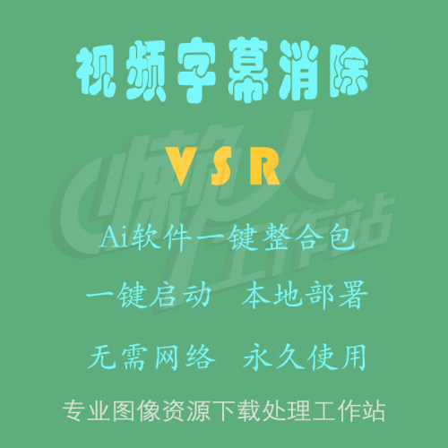 VSR：一键消除视频字幕工具（一键整合包含使用教程）